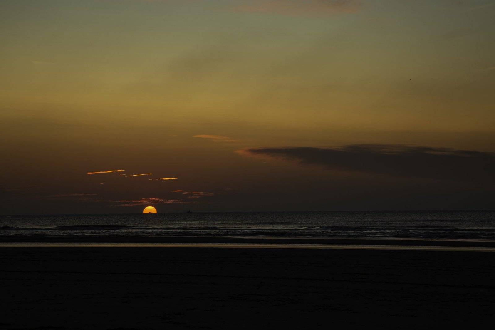 HetnieuweNederland RinaHerderphotography